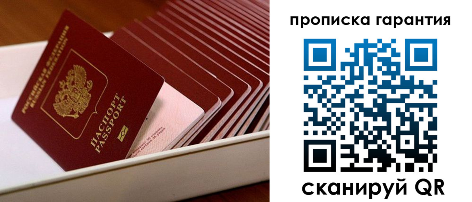прописка поиск в Лобне